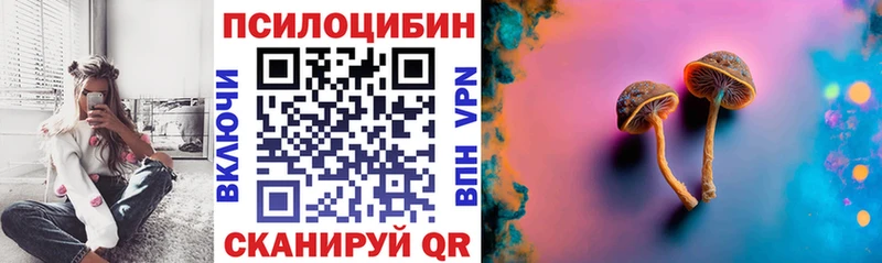 Купить закладки  Козловка  Псилоцибиновые грибы MAGIC MUSHROOMS 